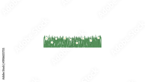 A horizontal strip of green grass with small white flowers.