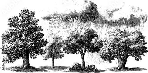 April nature cycle: rainfall and renewal in vintage botanical engraving – design for poster or card