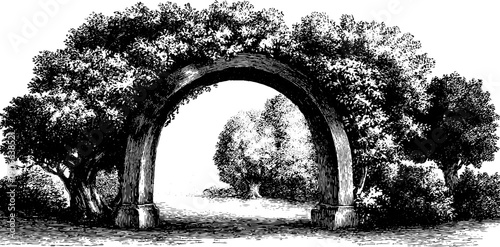 Vintage architectural arch with botanical surroundings – perspective and depth study