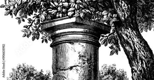 Vintage engraving of architectural column with botanical elements for retro design