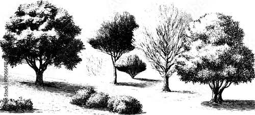 December botanical scene with snow covered ground and vintage trees