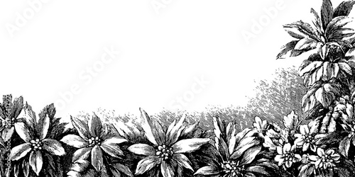 Vintage botanical festive decoration with floral elements on white space for seasonal design