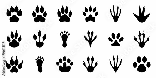 Collection of various animal footprints and paw prints in black silhouette