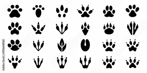 Collection of various animal footprints and paw prints in black