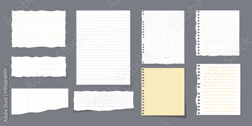 Collection of torn and lined paper pieces against a gray background
