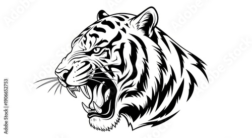 Black and White Tiger Head Illustration.