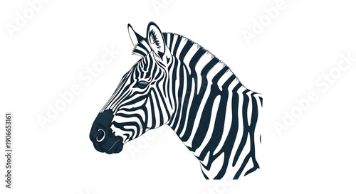 Black and White Zebra Illustration on White Background.