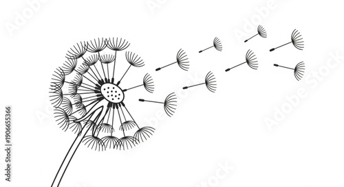 Dandelion seeds dispersing in the wind blowing away nature's beauty