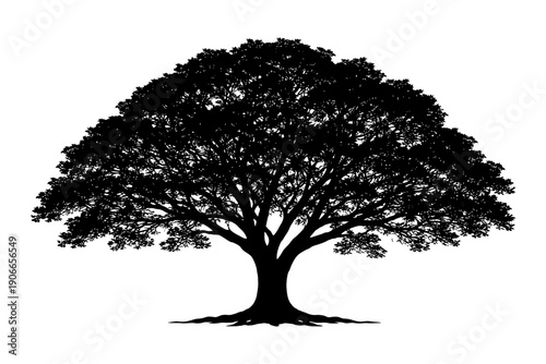 Majestic silhouette of a large tree with sprawling branches and dense foliage.