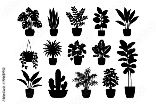 Silhouette collection of various indoor potted plants.