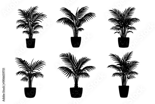 Silhouette collection of six potted palm plants on white background.