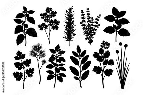 Silhouette collection of various herbs and plants.