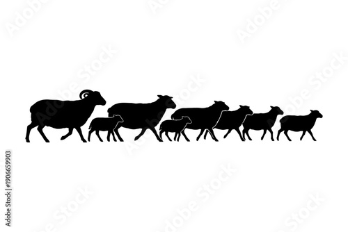 Silhouette of a ram and sheep family walking together in a line.