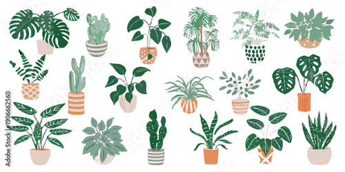 A collection of various potted houseplants against a dark backdrop