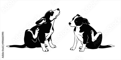 Two black and white puppies scratching themselves to relieve itchiness