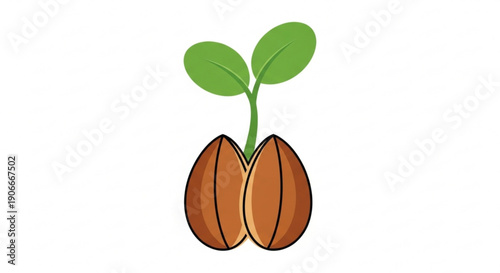Sprouting seedling emerging from brown seed shell with green leaves on white background symbolizing growth and nature