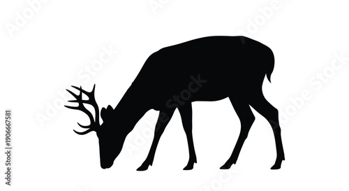 A black silhouette of a grazing deer with antlers wildlife silhouette