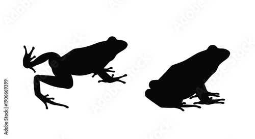 Two black frogs in profile a distinct silhouette
