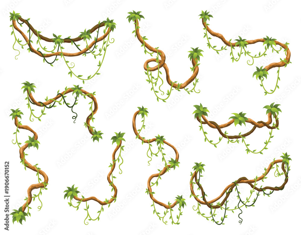 Naklejka premium Liana branch set. Twisted wild jungle vine plants. Woody natural tropical rainforest, exotic botany element. Vector design element
