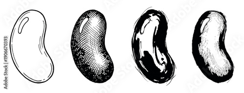 Set of four hand-drawn bean illustrations showing different artistic styles from simple outline and crosshatching to abstract ink wash and bold woodcut techniques