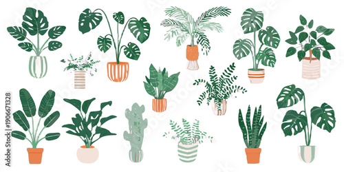 A collection of various potted houseplants against a dark background