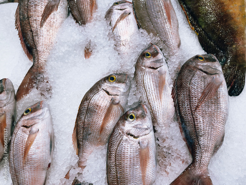 Fresh sea fish on ice at seafood market