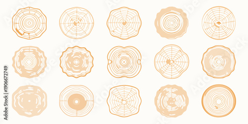 Collection of tree stump cross sections in varying shapes and colors
