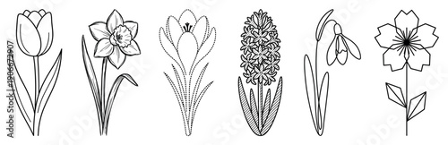 Collection of six different spring flowers rendered as black outline illustrations, showcasing tulip, narcissus, crocus, hyacinth, snowdrop, and blossom in a clean doodle style