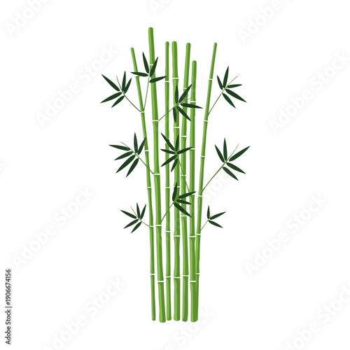 Vibrant Green Bamboo Stalks with Leaves on White Background.