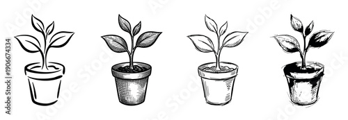 Four hand-drawn potted plant illustrations in various sketch and ink styles, showing small seedlings growing in pots as a symbol of new life, nature, and organic gardening