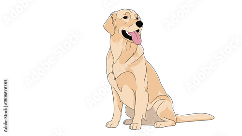 Friendly and loyal golden retriever dog sits patiently with its pink tongue out on a clean white background in a cute style.