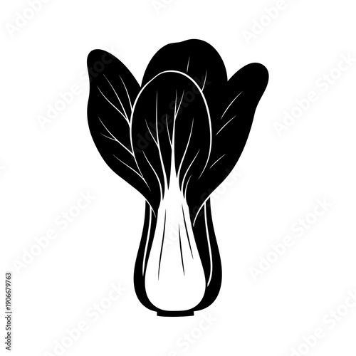 Silhouette of Bok Choy Chinese Cabbage for Asian Cuisine and Stir Fry Vegetables