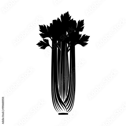 Silhouette of Fresh Celery Stalk for Healthy Diet and Crunchy Vegetable Snacks
