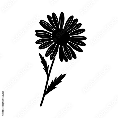 Silhouette of Chamomile Flower for Herbal Tea and Natural Relaxation Remedies