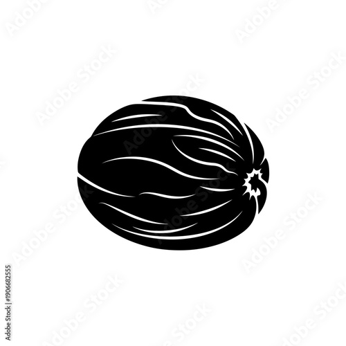 Silhouette of Whole Nutmeg Spice for Baking Ingredients and Winter Flavor