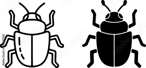 Black and white beetle side by side insects two beetles 1