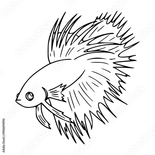 beautiful betta fish line art illustration with long fins