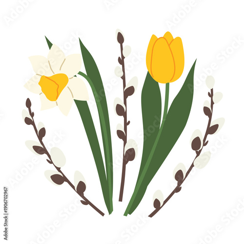 tulip, pussy willow twig and daffodil flower composition as a symbol of spring, freshness and elegance - vector illustration