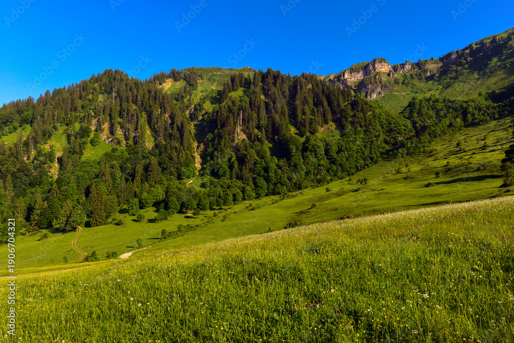 Fototapeta premium Das Bregenzerwaldgebirge in der Gemeinde Egg in Vorarlberg