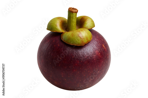 Fresh Whole Mangosteen Fruit Showing Thick Rind and Stem Isolated on a Transparent Background