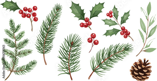 Winter Botanical Vector Set with Pine Branches, Holly Leaves, Red Berries and Evergreen Christmas Floral Elements
