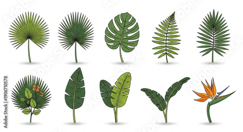 Collection of Tropical Plant Leaves and Flower.