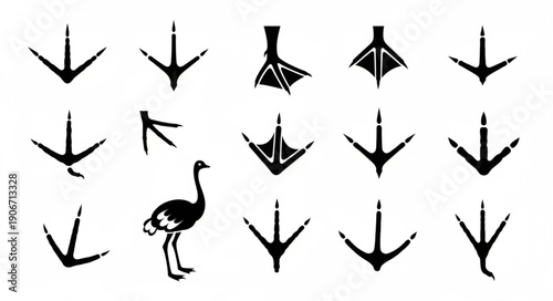 Collection of Various Bird Footprints and Ostrich Silhouette.