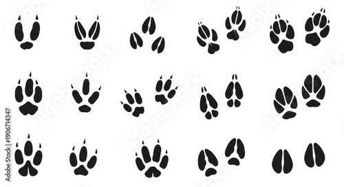Collection of various animal paw prints and tracks.