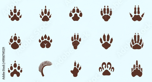 Collection of various animal paw prints and tracks.