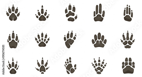Collection of various animal paw prints and tracks.