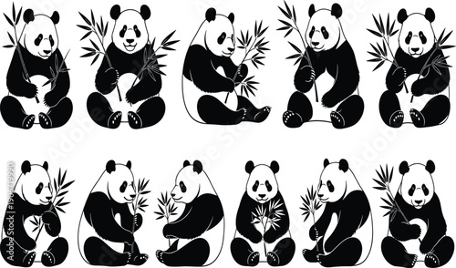 Black and white panda illustrations, bamboo eating animal vector artwork, wildlife character design collection, Chinese culture motif, conservation nature drawing set
