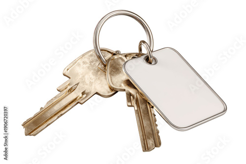 A bunch of shiny silver metal keys on a secure ring isolated on a white background representing home security and success