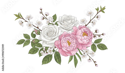 White and pink flowers vector illustration isolated on plain background