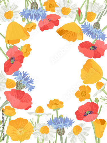 composition with field flowers, vector drawing wild plants at white background, floral frame, golden and red poppies, blue cornflowers and daisies, hand drawn botanical illustration